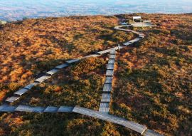 Lais Puzzle - Boardwalk-Wanderweg in den Slieve Bloom Mountains in Irland - 100, 200, 500 & 1.000 Teile