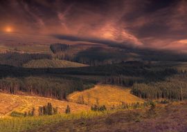Lais Puzzle - Slieve Bloom Mountains, malerischer Sonnenuntergang, Irland - 100, 200, 500 & 1.000 Teile