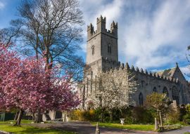 Lais Puzzle - Kirschblüte im Frühling in Limerick, Irland - 100, 200, 500 & 1.000 Teile