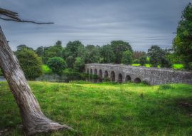 Lais Puzzle - Alte Bective Bridge aus dem 12. Jahrhundert mit Steinbogen über den Fluss Boyne mit großem Baumstamm, umgeben von grünen Feldern und Wäldern, Grafschaft Meath, Irland - 100, 200, 500 & 1.000 Teile