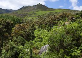 Lais Puzzle - Überquerung der Hänge der Comeragh Mountains, Irland - 100, 200, 500 & 1.000 Teile