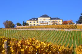 Lais Puzzle - Schloss Johannisberg im Rheingau - 2.000 Teile