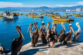 Lais Puzzle - Coquimbo, Chile - 2.000 Teile