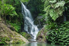 Lais Puzzle - Wasserfall im Lamington National Park in Queensland, Australien - 2.000 Teile
