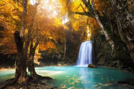 Lais Puzzle - Wasserfall - 2.000 Teile