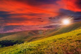 Lais Puzzle - Waldpanorama im Sonnenlicht - 2.000 Teile