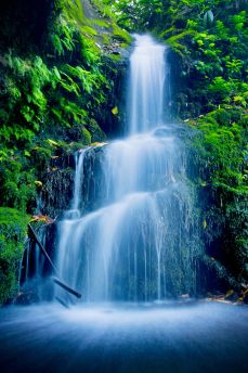 Lais Puzzle - Lush Wasserfall - 2.000 Teile