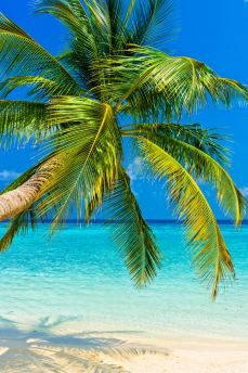 Lais Puzzle - Tropischer Strand - 2.000 Teile