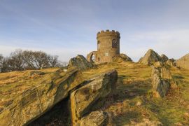 Lais Puzzle - Der alte John im Bradgate Park, England - 2.000 Teile