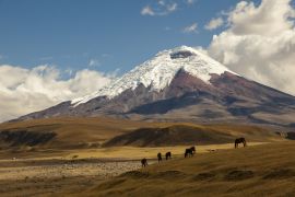 Lais Puzzle - Vulkan Cotopaxi und Wildpferde, Ecuador - 2.000 Teile