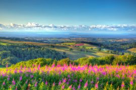 Lais Puzzle - Quantock Hills in Somerset, England - 2.000 Teile