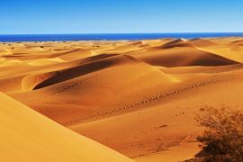 Lais Puzzle - Naturreservat der Dünen von Maspalomas, auf Gran Canaria, Spanien - 2.000 Teile