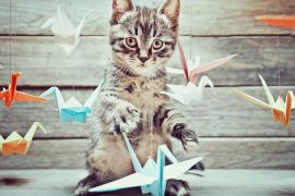 Lais Puzzle - Kleine Katze spielt mit bunten Papierkränen - 2.000 Teile