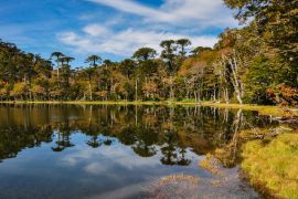 Lais Puzzle - Trekking in Reserva El Cani, in der Nähe von Pucon, Chile - 2.000 Teile
