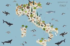 Lais Puzzle - Tierleben Italiens - 2.000 Teile