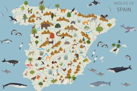 Lais Puzzle - Spaniens Tierleben - 2.000 Teile