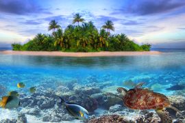 Lais Puzzle - Schildkröte / Wasserschildkröte vor Malediven - 2.000 Teile