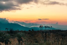 Lais Puzzle - Frailejones Krieger der Zeit im Land der Wolken, Kolumbien - 2.000 Teile