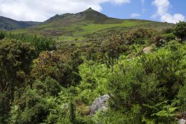 Lais Puzzle - Überquerung der Hänge der Comeragh Mountains, Irland - 2.000 Teile