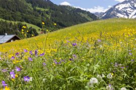Lais Puzzle - Kleinwalsertal in Österreich - 2.000 Teile