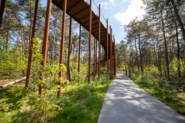 Lais Puzzle - Fahrrad in den Bäumen in Lommel Belgien Flandern - 2.000 Teile