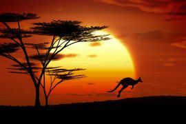 Lais Puzzle - Känguru im Sonnenuntergang, Australien - 2.000 Teile