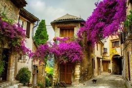 Lais Puzzle - Provence - 2.000 Teile