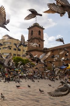 Lais Puzzle - Cali, Valle del Cauca, Kolumbien - 2.000 Teile