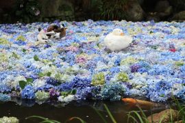 Lais Puzzle - Amabiki-Schrein, Japan - 2.000 Teile