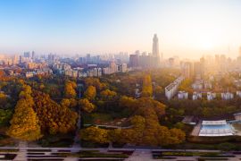 Lais Puzzle - Hubei Wuhan Liberation Park, China - 2.000 Teile