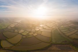 Lais Puzzle - Baoan Lake National Wetland Park in Daye, Hubei, China - 2.000 Teile