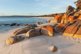 Lais Puzzle - Mit Flechten bedeckte Felsen. Bay of Fires. Tasmanien. Australien - 2.000 Teile