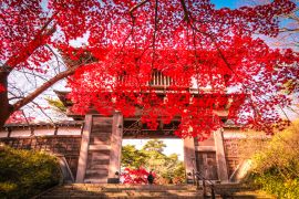 Lais Puzzle - Akita Senshu Park Tor, Japan - 2.000 Teile