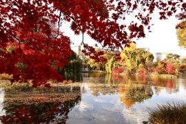 Lais Puzzle - Nakajima Park (Sapporo), Japan - 2.000 Teile