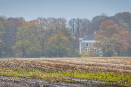 Lais Puzzle - Herrenhaus von Estate Dickninge zwischen Bäumen in Herbstfarben in De Wolden, Drenthe, Niederlande - 2.000 Teile