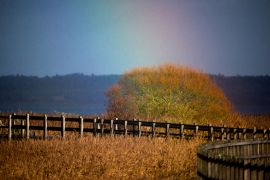Lais Puzzle - Holzbrücke Skive Dänemark - 2.000 Teile
