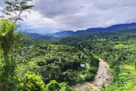 Lais Puzzle - Tarapoto, Peru - 2.000 Teile