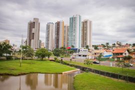 Lais Puzzle - Natur in einer großen Stadt - Parque das Nações Indígenas - Campo Grande - Mato Grosso do Sul - Brasilien - 2.000 Teile