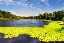 Lais Puzzle - Panoramablick auf den Marañon-Fluss im Pacaya Samiria Reservat in Peru, in der Nähe von Iquitos. Der Fluss der Spiegel - 2.000 Teile