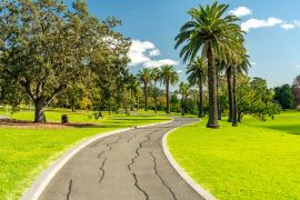 Lais Puzzle - Wanderweg durch den Footscray Park, Melbourne, Australien - 2.000 Teile