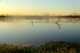 Lais Puzzle - Bañado la Estrella Formosa - 2.000 Teile