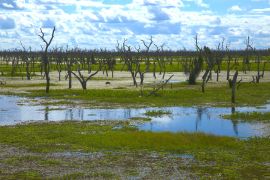 Lais Puzzle - Bañado la Estrella Formosa, Argentinien - 2.000 Teile