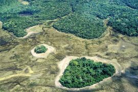 Lais Puzzle - Amazonaswald in der Nähe der Stadt Serra do Navio, Brasilien - 2.000 Teile