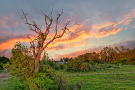 Lais Puzzle - Feuchtgebiete im Naturschutzgebiet Nationalpark Esteros del Ibera, Colonia Carlos Pellegrini, Corrientes, Argentinien - 2.000 Teile