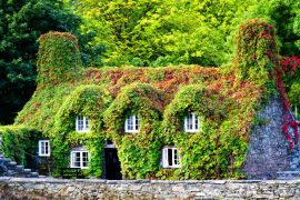 Lais Puzzle - Pont Fawr, berühmte mittelalterliche Steinbrücke über den Fluss Conwy, erbaut von Inigo Jones, und Tu-Hwnt-l'r Bont - altes, mit Weinlaub bedecktes Häuschen, Llanrwst, Caernarfon, Nordwales - 2.000 Teile