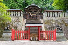 Lais Puzzle - Hida Tosho-gu Schrein, Japan - 2.000 Teile