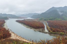 Lais Puzzle - Mangrovenwald in der Morgendämmerung, Anhui, China - 2.000 Teile