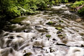 Lais Puzzle - Auldhouse Burn im Rouken Glen Park, Giffnock, East Renfrewshire, Glasgow Südseite, Schottland - 2.000 Teile