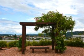 Lais Puzzle - Novo Hamburgo, Rio Grande do Sul, Brasilien - 2.000 Teile