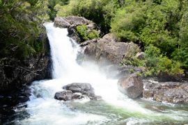 Lais Puzzle - Wasserfall im Alerce Andino Nationalpark, Chile - 2.000 Teile